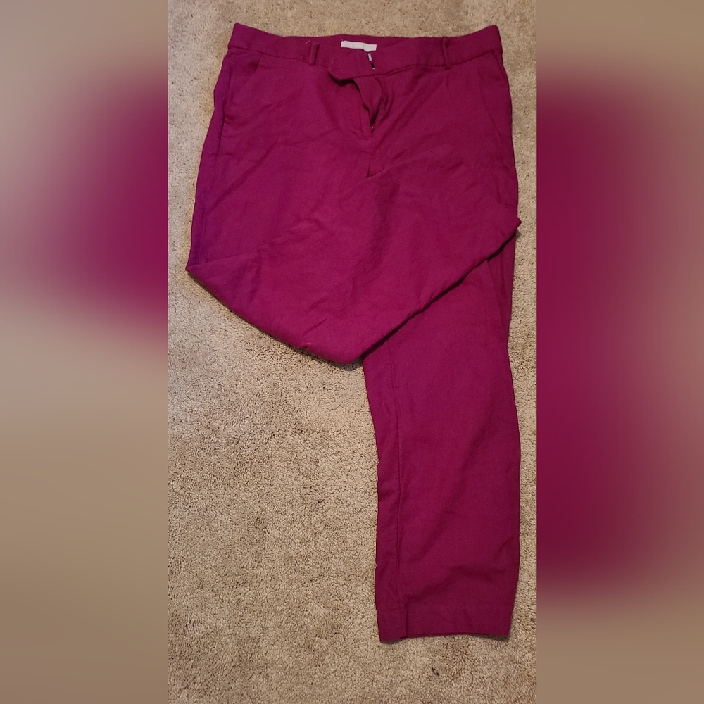 Loft capris